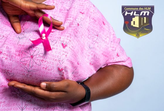 Octobre Rose aux HLM : Le Mois De La Lutte Contre Le Cancer Du Sein